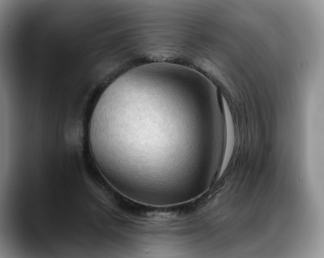 X0000088490448200705291651