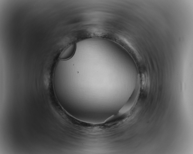 X0000088490451200705291651