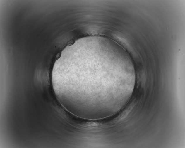 X0000088490453200705291651