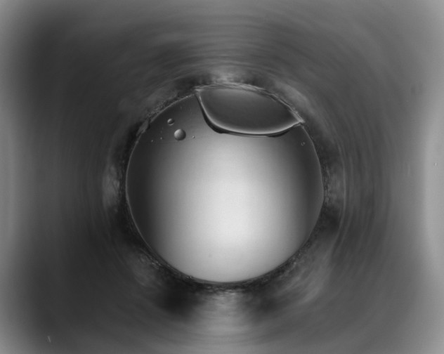 X0000088490456200705291651