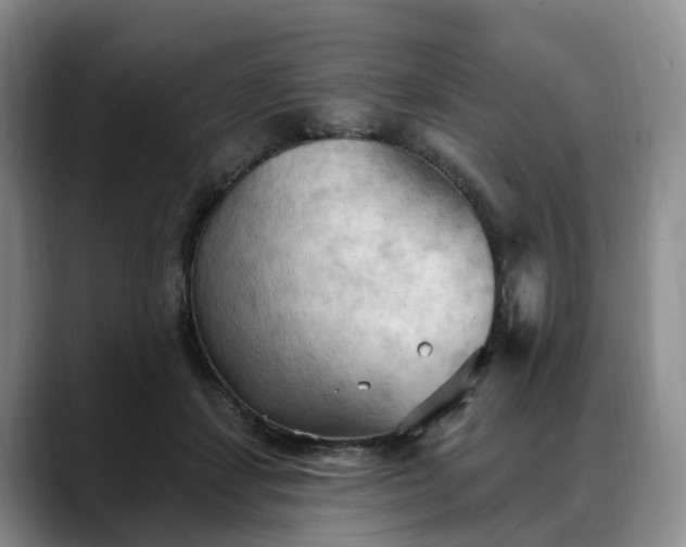 X0000088490459200705291651