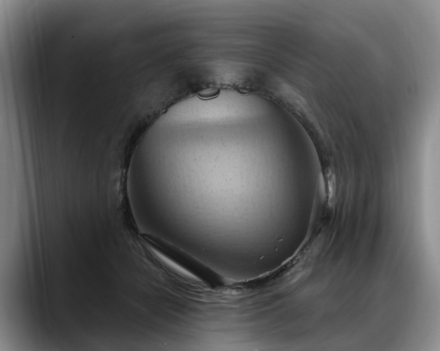 X0000088490462200705291651