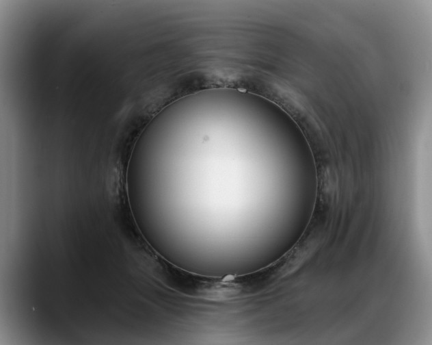 X0000088490463200705291651