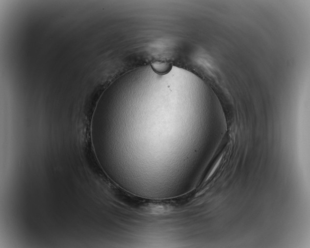 X0000088490464200705291651