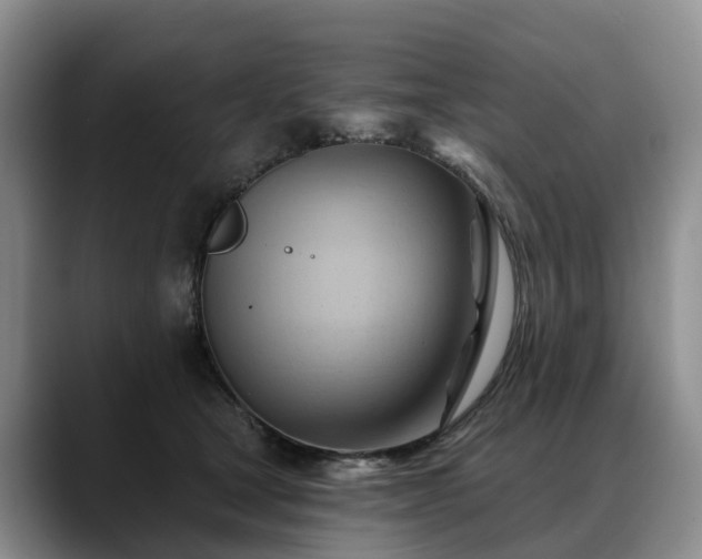 X0000088490465200705291651