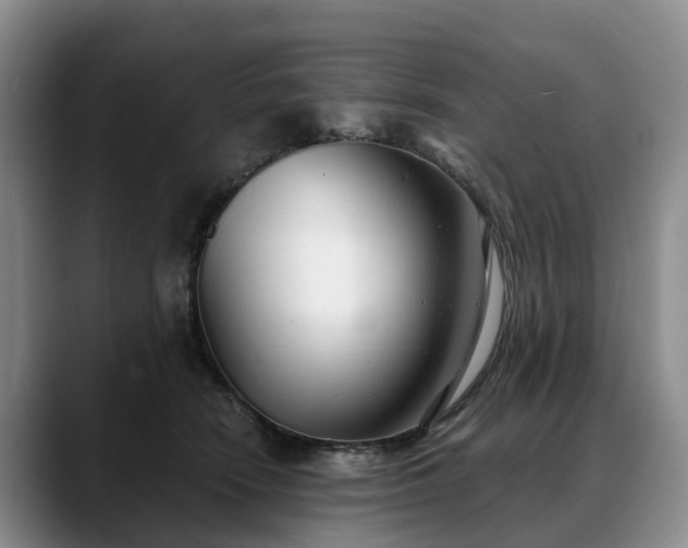 X0000088490466200705291651