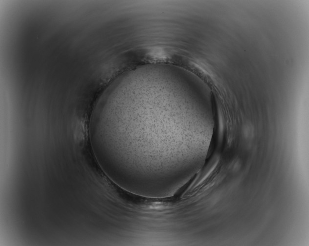 X0000088490467200705291651