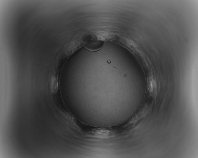 X0000088490471200705291651