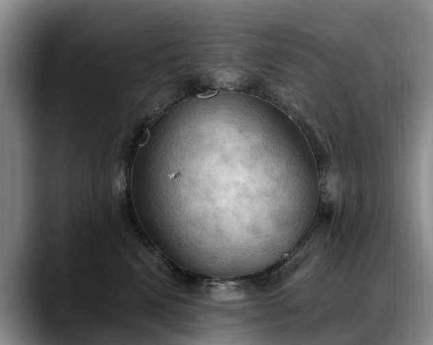 X0000088490472200705291651