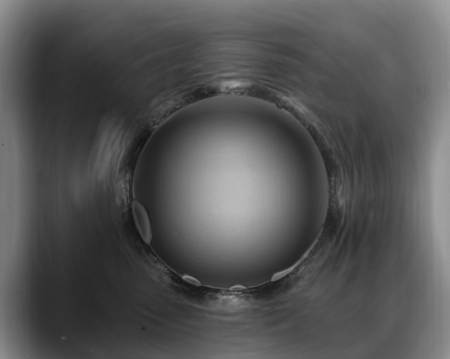 X0000088490475200705291651