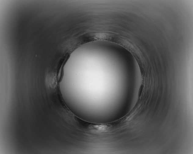 X0000088490478200705291651