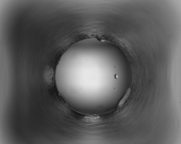 X0000088490480200705291651