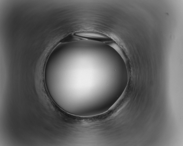 X0000088490481200705291651