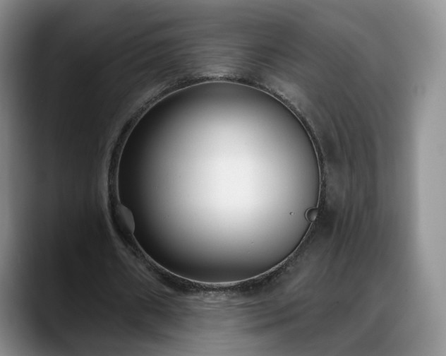 X0000088490482200705291651