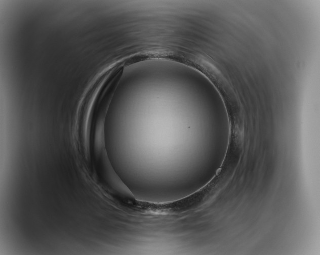 X0000088490484200705291651