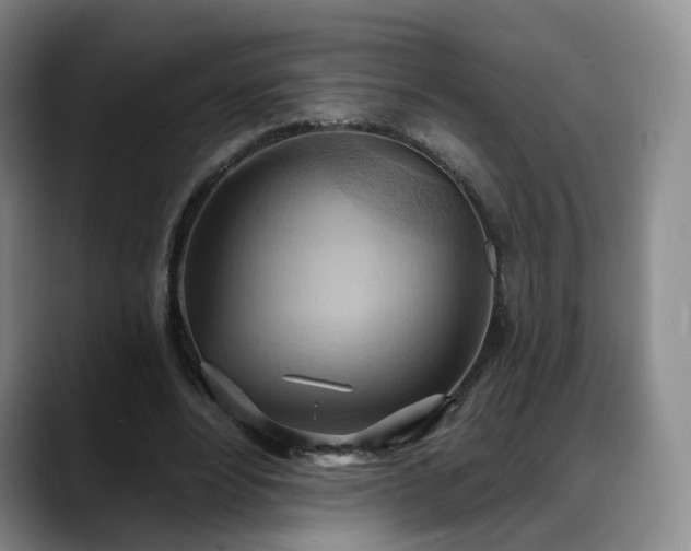 X0000088490488200705291651