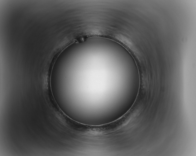 X0000088490489200705291651