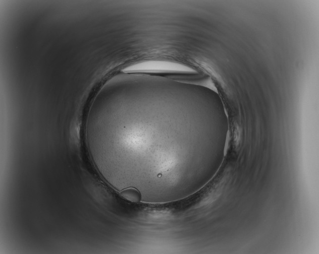 X0000088490491200705291650