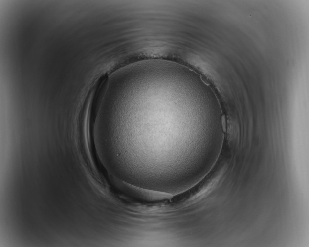 X0000088490493200705291650