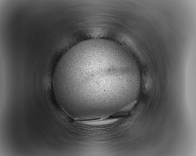 X0000088490499200705291650