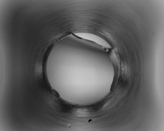 X0000088490500200705291650