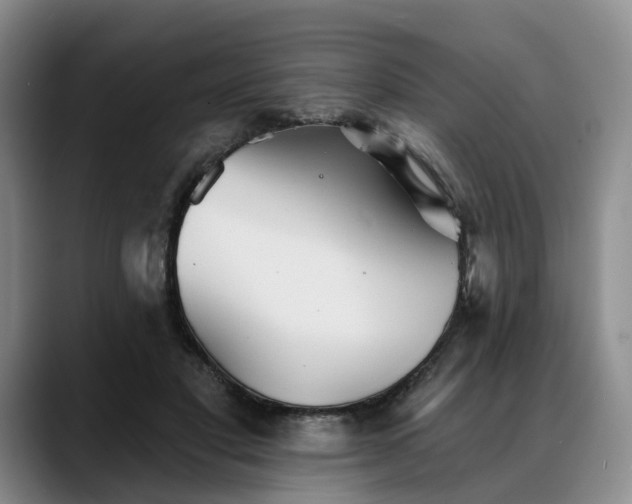 X0000088490501200705291650