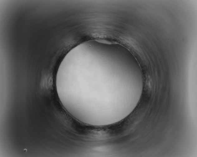 X0000088490502200705291650