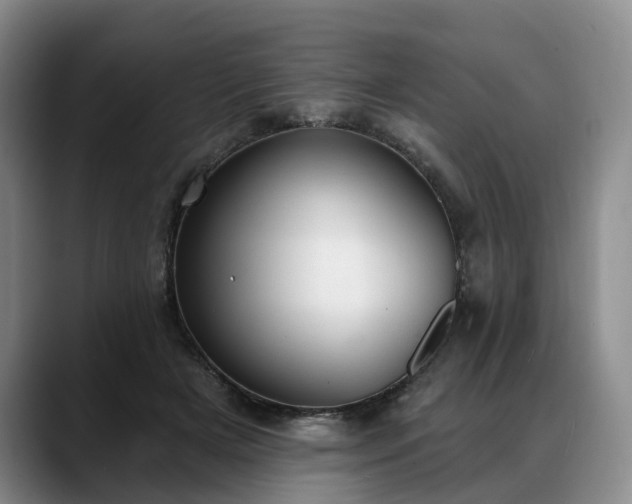 X0000088490505200705291650