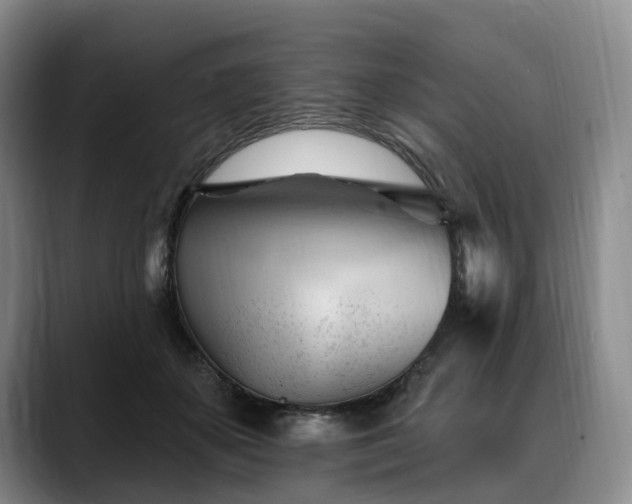 X0000088490507200705291650