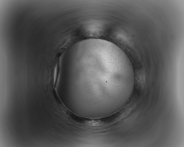 X0000088490511200705291650