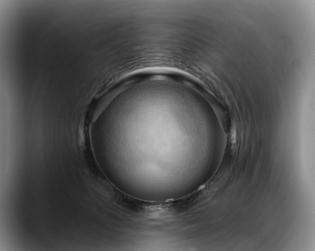 X0000088490516200705291650