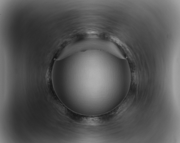 X0000088490517200705291650