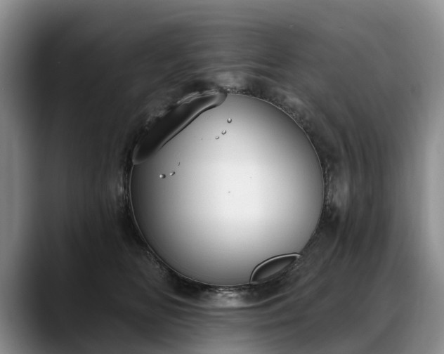 X0000088490518200705291650