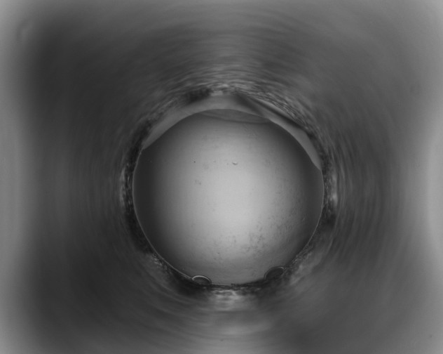 X0000088490519200705291650