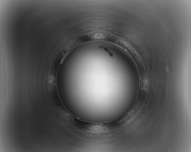 X0000088490521200705291650