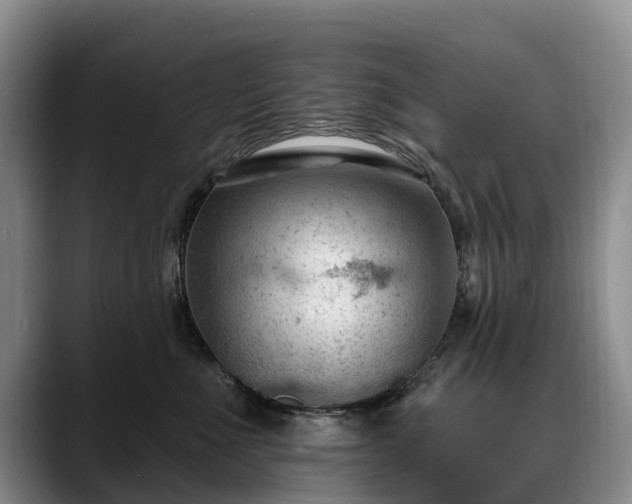 X0000088490523200705291650