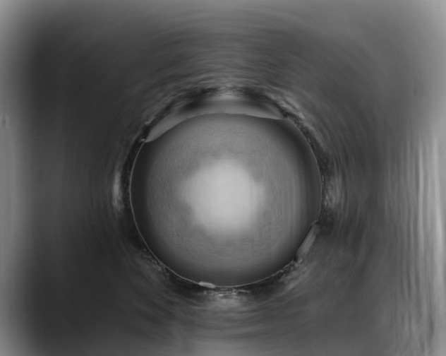 X0000088490524200705291650