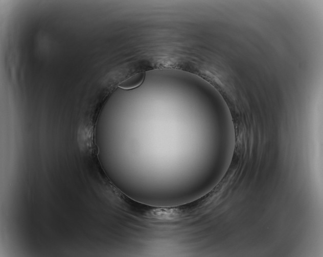 X0000088490526200705291650