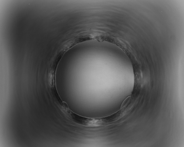 X0000088490527200705291650