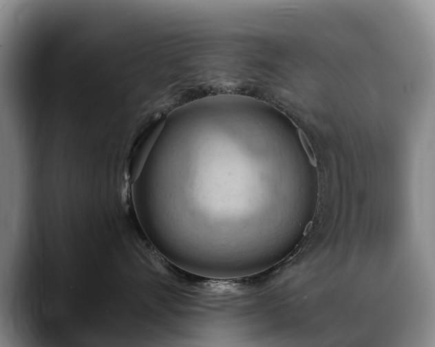 X0000088490528200705291650