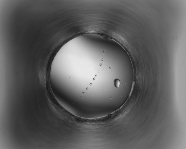 X0000088490530200705291649