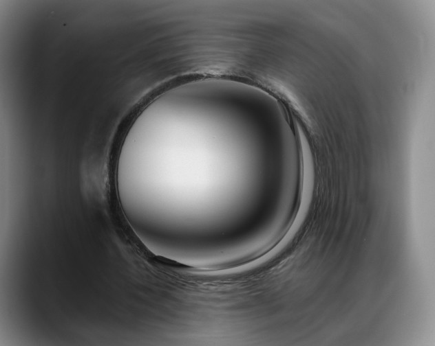 X0000088490532200705291649