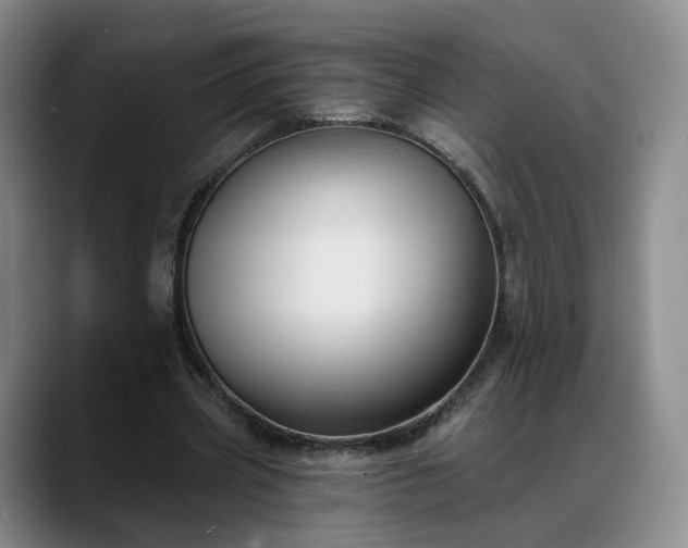 X0000088490533200705291649