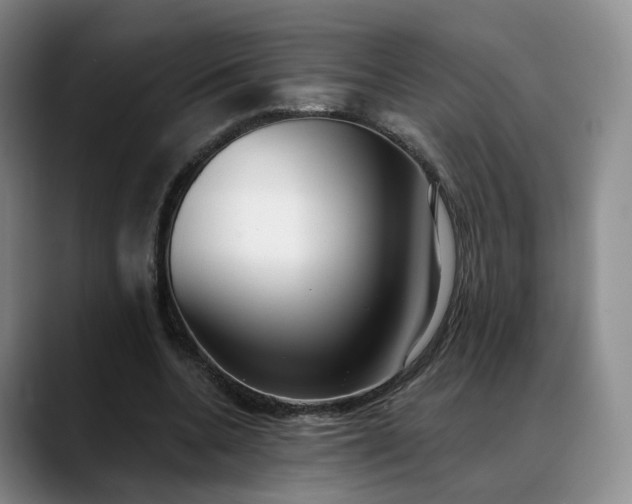 X0000088490536200705291649