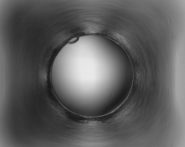 X0000088490539200705291649