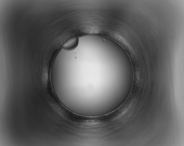 X0000088490541200705291650