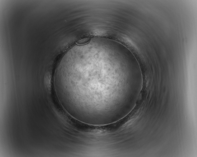 X0000088490542200705291650