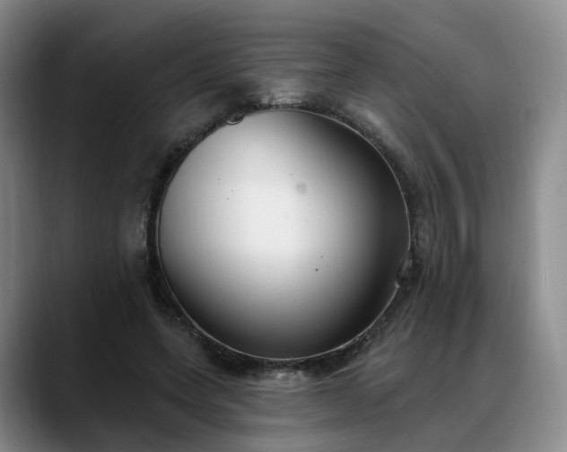 X0000088490543200705291650