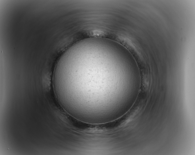 X0000088490545200705291650