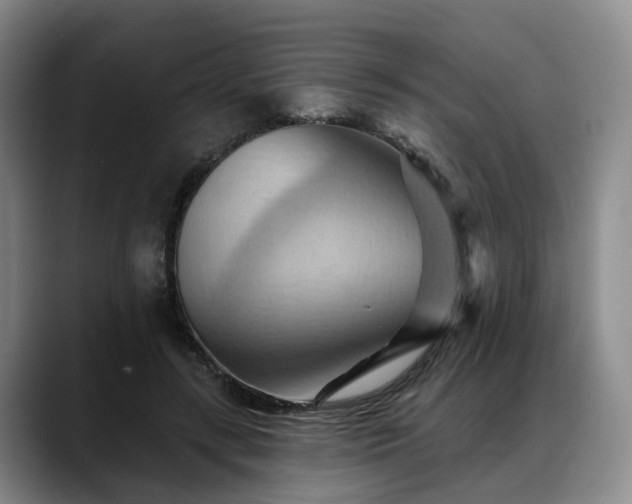 X0000088490547200705291650